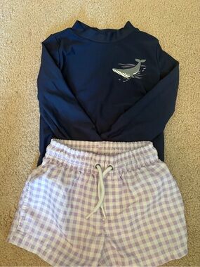 Carter's Navy Rash Guard Top with Lilac Gingham Swim Trunks